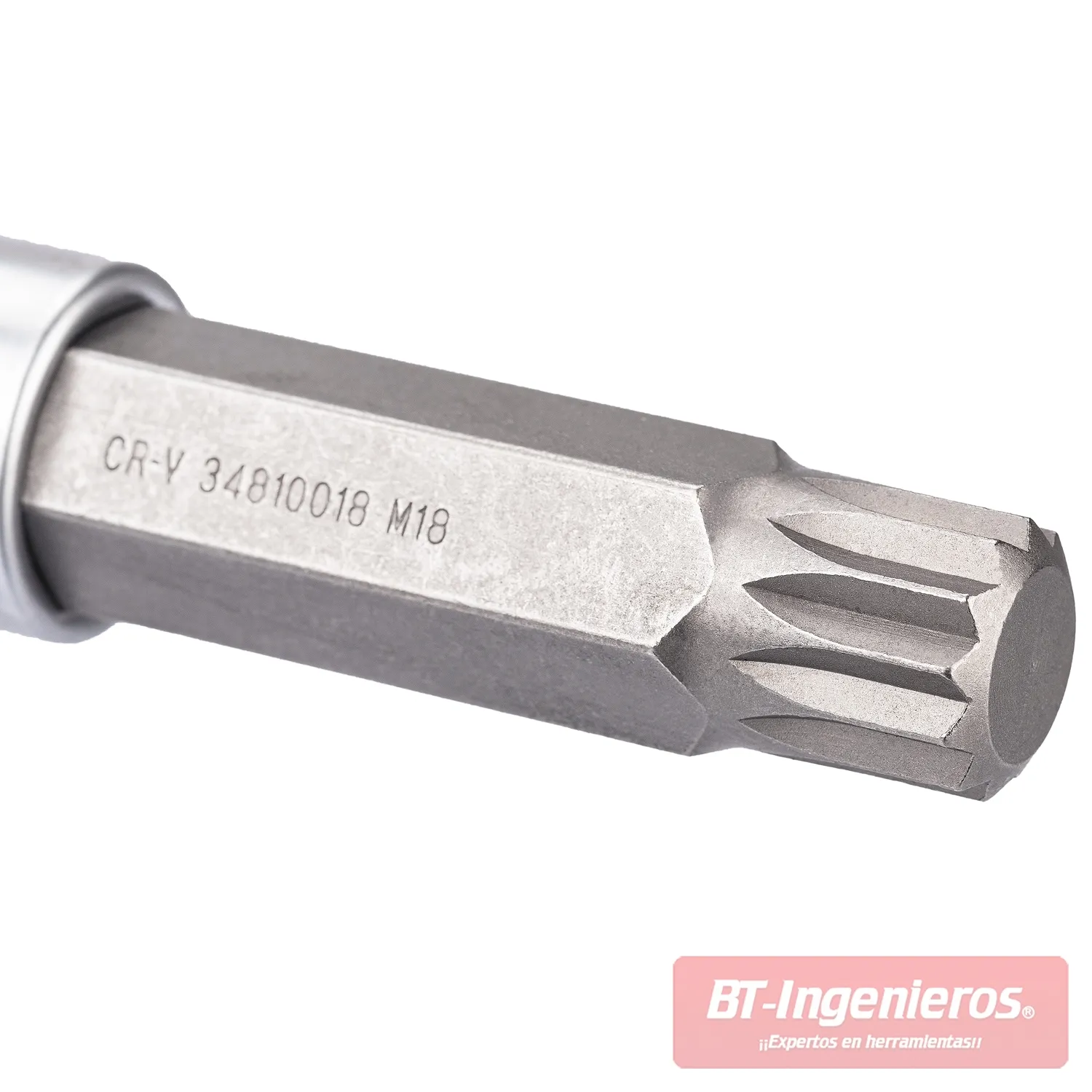 9 Puntas extralargas de medidas grandes Torx, Hexagonales & XZN. Vasos 1/2"