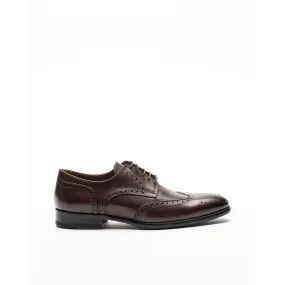 Zapatos brogue PROF 6052 Marrón